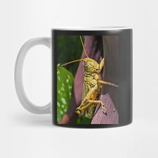 Grasshopper Mug